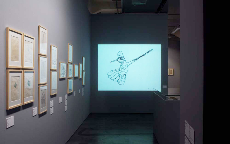 View of the exhibition »bit international«. On the left wall computer graphics are displayed. In the middle you see a projection of the film "Hummingbird" by Charles Csuri.